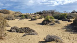 2023-GC--Mapalomas dunas-S123-072.jpg